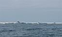 GCOffshore goes to Horn Island (89).JPG